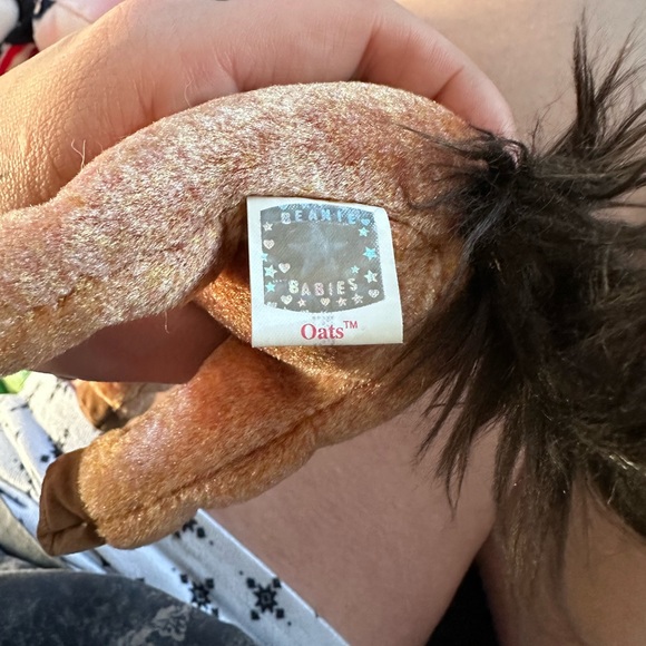 ‘Oats’ Beanie Baby - Picture 3 of 3